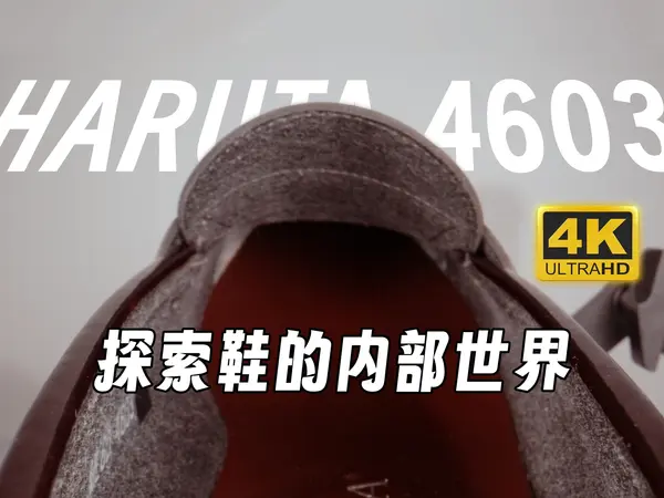 变小了悄悄钻进鞋子里 - 芝士好椰